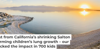 The Salton Sea is shrinking and releasing toxic dust from its lake bed. Jennifer Davis/iStock/Getty Images Plus